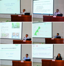 技術推廣服務中心 推動技術創新與產業升級的重要平臺